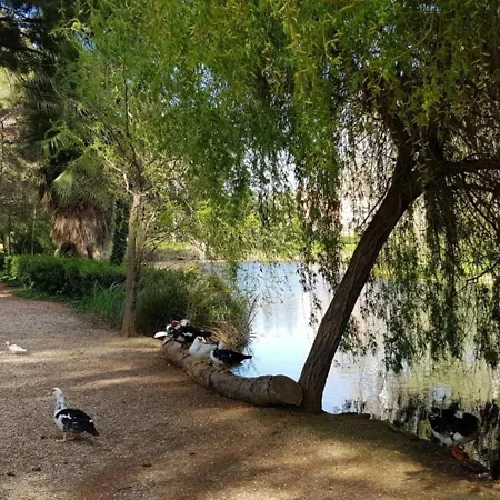 Apartment Cap Marine *
